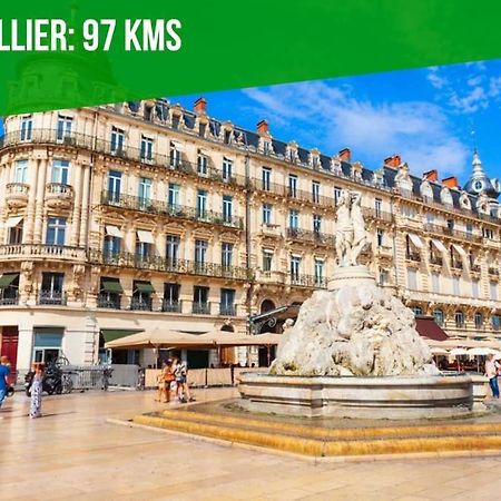 L'Olivier - 2 Terrasses - Clim Ac - Wifi - Proche Theatres Apartment อาวีญง ภายนอก รูปภาพ